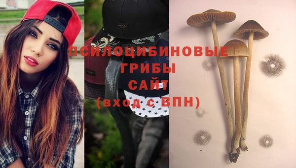 дживик Армянск