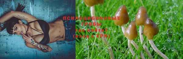 дживик Армянск